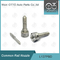 L137PBD Delphi Common Rail Nozzle Para inyectores EJBR02401Z/02901D