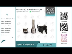 7135-575 boca L363PRD de VW 1.2L de Delphi Injector Repair Kit For 28231462