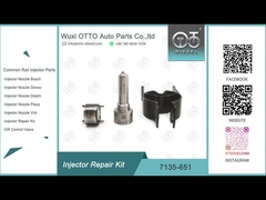7135-651 Delphi Injector Repair Kit For R02201Z con la boca L121PBD