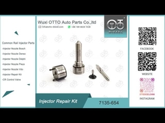 7135-654 Delphi Injector Repair Kit R00501Z con la boca L456PRD