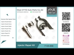 7135-656 Delphi Injector Repair Kit For R00504Z con la boca L135PBD