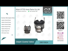 Válvula de control común del carril 28615824 para Delphi Common Rail Injectors R00001D/28307309