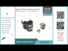 Válvula de control del inyector 28239294 Delphi para inyectores Delphi EJBR02401Z/02901D, etc.