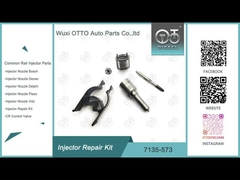 7135-580 inyectores 28342997/R00001D/28307309 de Delphi Injector Repair Kit For