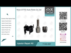 7135-597 Kit de reparación del inyector Delphi
