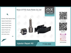 7135-595 Kit de reparación del inyector Delphi
