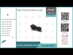 294160-0200 Conjunto de válvulas de tren común para bomba HP3 HP4