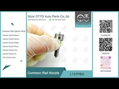 L137PBD Boquilla de Delphi para inyectores EJBR02401Z / 02901D