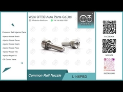 Inyectores R05201D R02701Z de L146PBD Delphi Common Rail Nozzle For