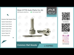 Inyectores EJBR03301D de L163PBD Delphi Common Rail Nozzle For