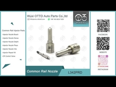 Inyector R00101D PSA/FORD DW10C de L342PRD Delphi Common Rail Nozzle For