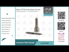 Boca común del carril de L381PBD para los inyectores EJBR05102D