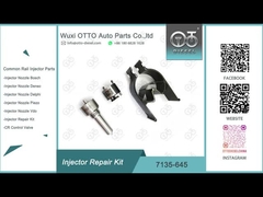 Kit de inyección de válvulas con boquilla Kit de inyección de CVA con boquilla 7135 - 645 Delphi Common Rail Injector Repair Kit para inyectores R052