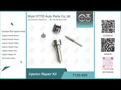 Kit de reparación de las boquillas del inyector Delphi R02801D