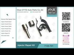 Kit de reparación del inyector Delphi para inyectores R00001D