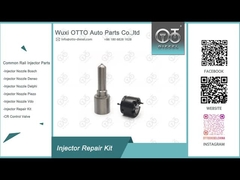 Kit de reparación del inyector Delphi 7135-816 Kit de válvulas con boquilla