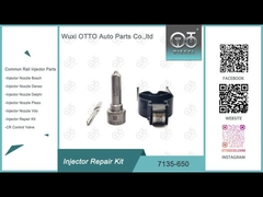 Kit de reparación de las válvulas de boquilla 7135 - 650 Delphi para inyectores DELPHI R04701D