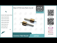 G3P020 Boquilla para el inyector de gasóleo 295900-0220/DCRI200480/23670-51060