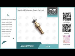 T613 Aplicación de la válvula de control del tren común Bosch 0445110551