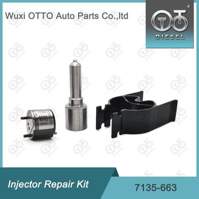 7135-663 Kit de reparación del inyector Delphi Kit de inyección de válvulas y boquillas Kit de inyección de CVA