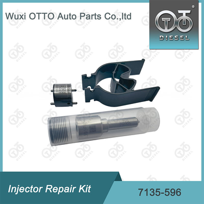 7135-596 Kit de reparación del inyector Delphi Kit de inyección de válvulas y boquillas Kit de inyección de CVA
