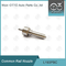 L193PBC Delphi Common Rail Nozzle para inyectores BEBE4D08004 / 4D24004 / 4D24104