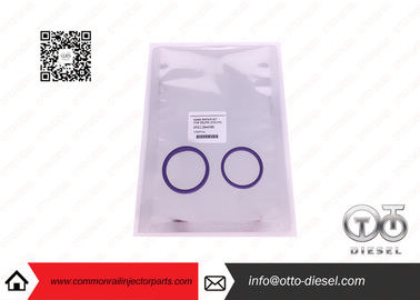 20440388 piezas comunes del inyector del carril de los equipos de reparación del inyector de /de