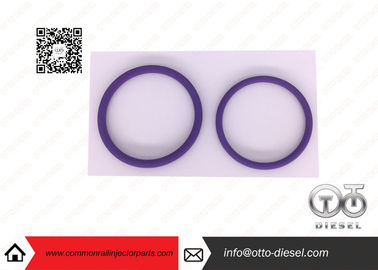 20440388 piezas comunes del inyector del carril de los equipos de reparación del inyector de /de