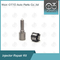 7135-836 Delphi Injector Reconstruir Kit OEM Marca