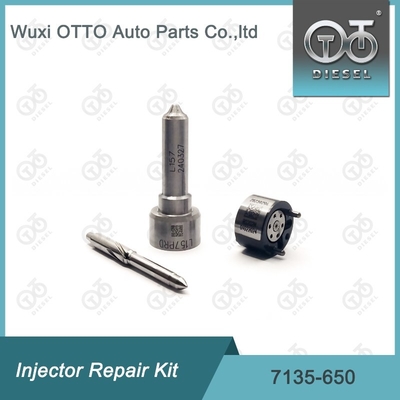 Kit de reparación de las válvulas de boquilla 7135 - 650 Delphi para inyectores DELPHI R04701D
