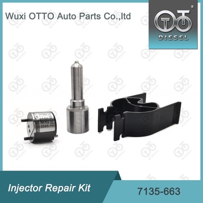 7135-663 Kit de reparación del inyector Delphi Kit de inyección de válvulas y boquillas Kit de inyección de CVA