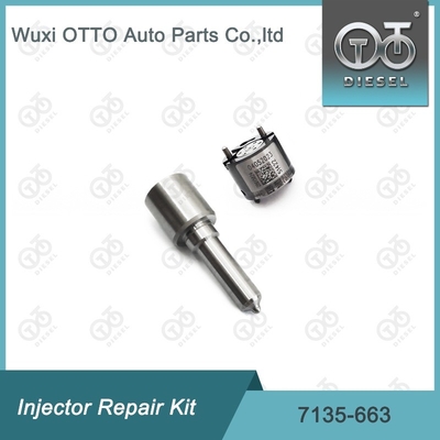 7135-663 Kit de reparación del inyector Delphi Kit de inyección de válvulas y boquillas Kit de inyección de CVA