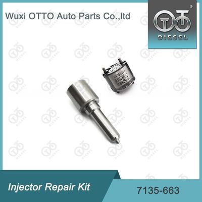 7135-663 Kit de reparación del inyector  Kit de inyección de válvulas y boquillas Kit de inyección de CVA