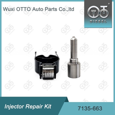 7135-663 Kit de reparación del inyector Delphi Kit de inyección de válvulas y boquillas Kit de inyección de CVA