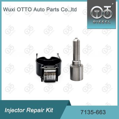 7135-663 Kit de reparación del inyector  Kit de inyección de válvulas y boquillas Kit de inyección de CVA