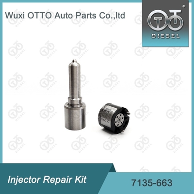 7135-663 Kit de reparación del inyector Delphi Kit de inyección de válvulas y boquillas Kit de inyección de CVA