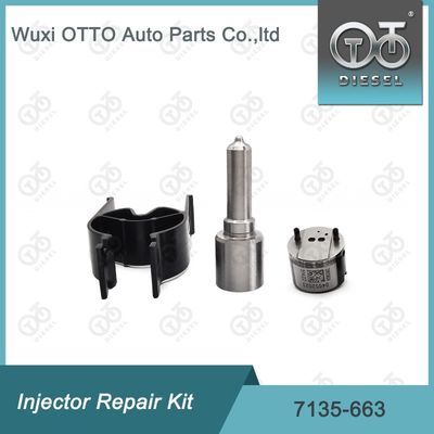 7135-663 Kit de reparación del inyector  Kit de inyección de válvulas y boquillas Kit de inyección de CVA