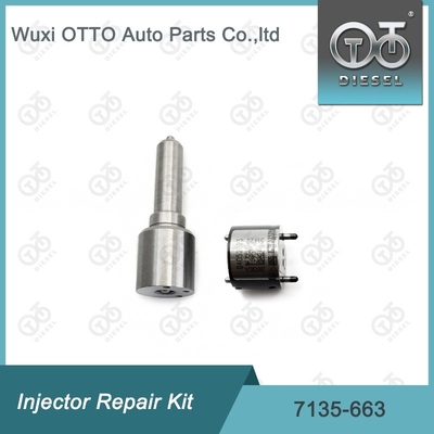7135-663 Kit de reparación del inyector Delphi Kit de inyección de válvulas y boquillas Kit de inyección de CVA