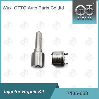 7135-663 Kit de reparación del inyector  Kit de inyección de válvulas y boquillas Kit de inyección de CVA