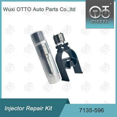 7135-596 Kit de reparación del inyector Delphi Kit de inyección de válvulas y boquillas Kit de inyección de CVA