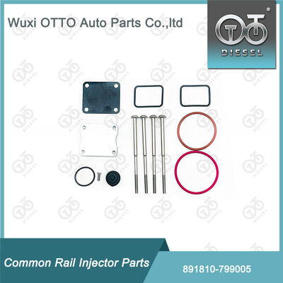Kits de reparación de inyectores de combustible 891810-799005 para bomba de émbolo único 799