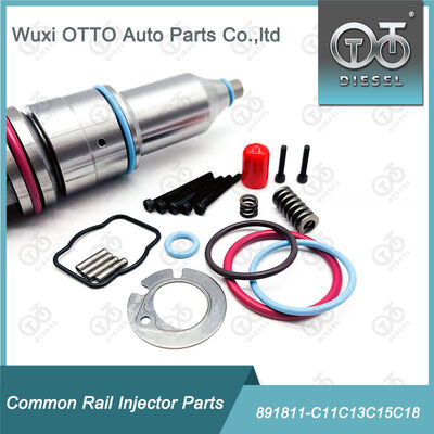 Kit de reparación de inyectores de combustible 891811-C11c13c15c18 para inyectores de combustible de la serie C11 / C13 / 15 / 18